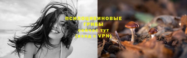марки nbome Алзамай