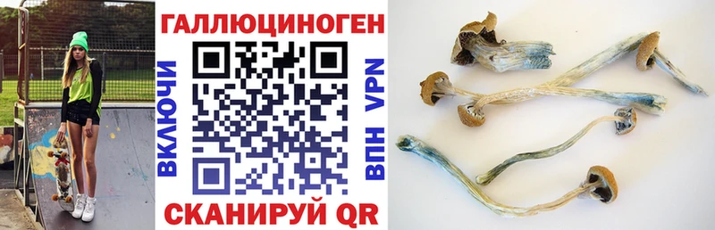 Галлюциногенные грибы мухоморы Краснознаменск