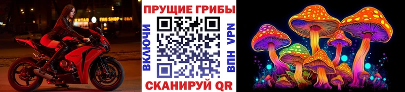 купить наркотик  Краснознаменск  Галлюциногенные грибы MAGIC MUSHROOMS 